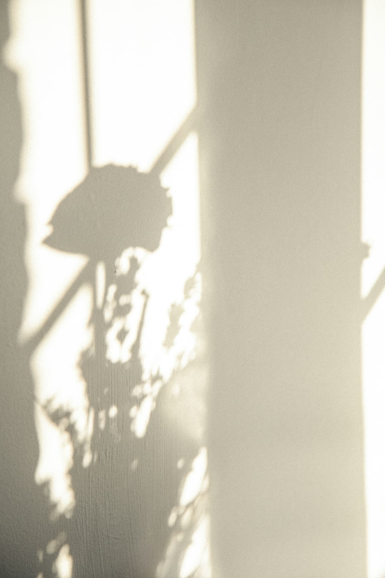 Blogbeitrag 6 - Wenn die Dinge anders kommen